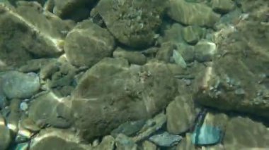 Akdeniz 'in sualtı videoları