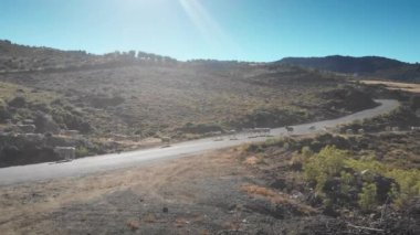 Otlaktan kaçan koyun sürüsü