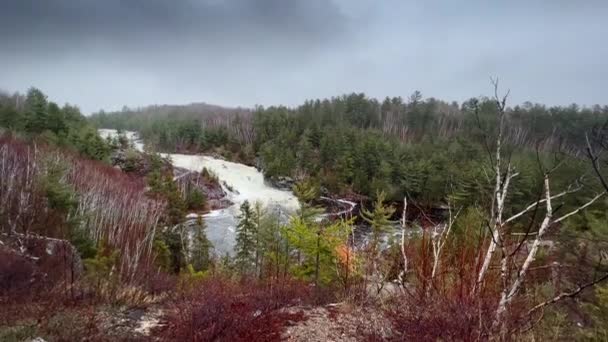 Ліс Холодною Річкою Зимовий Час — стокове відео