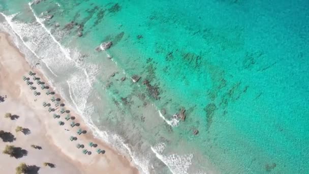 Vista Aérea Tumbonas Sombrillas Dispuestas Playa Por Paisaje Marino Durante — Vídeo de stock