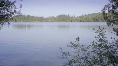 Ontario kırsal kesimlerinde güneşli bir yaz