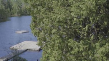 Ontario Kırsal Göl Yazı