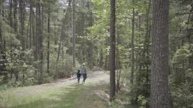 Anne ve çocuk Ontario, Kanada 'da ormanda yürüyorlar.