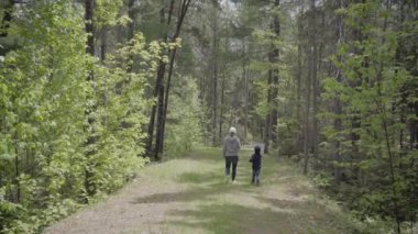 Anne ve çocuk Ontario, Kanada 'da ormanda yürüyorlar.