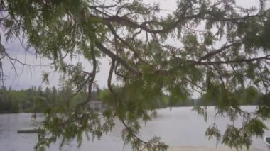 Ontario Kırsal Göl Yazı