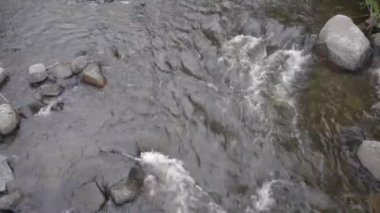  Ontario nehri, Kanada doğa geçmişi.