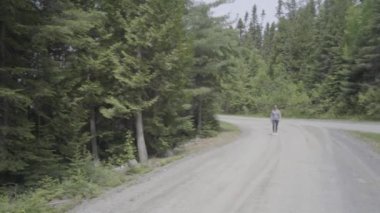 Ontario, Kanada 'da ormanda yürüyen bir kadın.