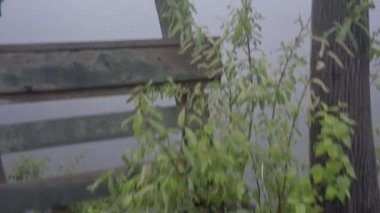 Ontario Kırsal Göl Yazı