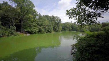  Yazın New York 'ta Central Park' ta çekilmiş bir video.