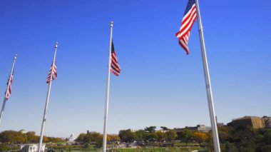 Dikilitaşın etrafında Washington DC Amerikan bayrakları var.