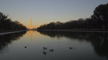 Dikilitaşın Washington DC 'sinde çekilmiş bir video.