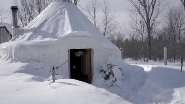 Kobieta Pobliżu Jurty Śnieżnej Lub Domu Zimie — Wideo stockowe