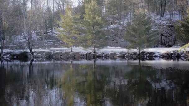 Hermoso Invierno Ontario Con Río — Vídeos de Stock