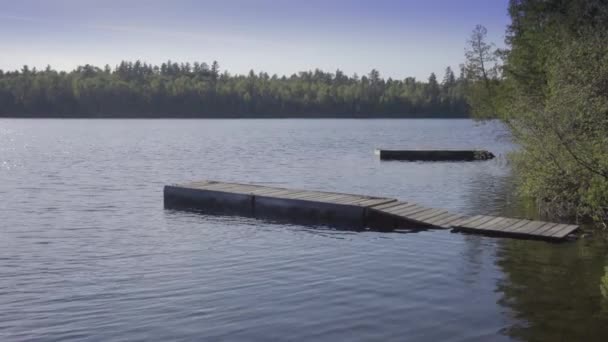 Ontário Lago Rural Verão Ensolarado — Vídeo de Stock