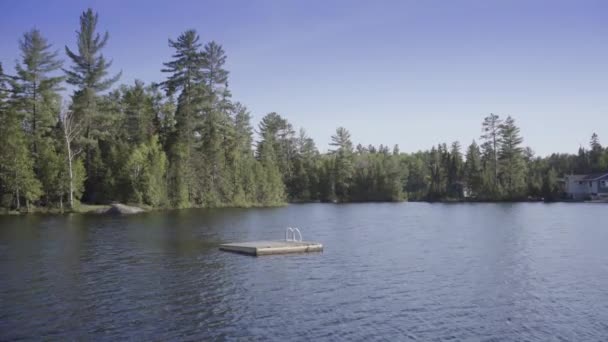 Οντάριο Εξοχή Λίμνη Ηλιόλουστο Καλοκαίρι — Αρχείο Βίντεο