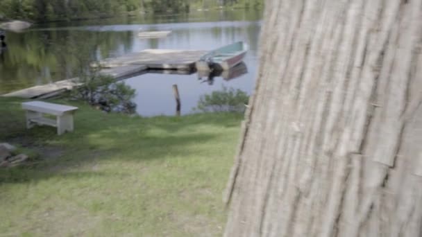Озеро Сонячне Літо — стокове відео