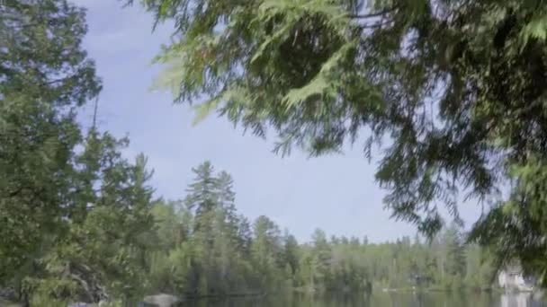 Ontario Countryside Lake Sunny Summer — Stock Video