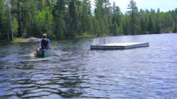Rückansicht Mann Rudert Kanu Auf Dem Fluss — Stockvideo