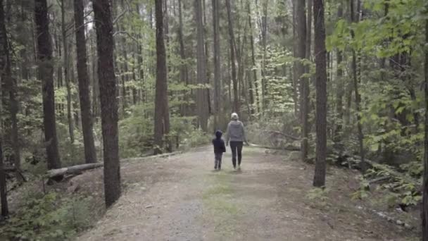 Madre Hijo Caminando Bosque Ontario Canada — Vídeos de Stock