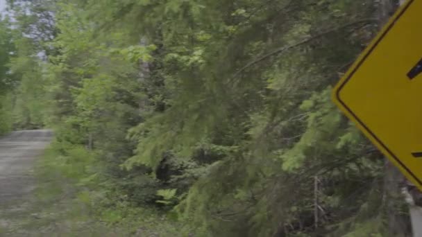 Άνθρωπος Περπατώντας Πινακίδα Περιπάτου Στο Οντάριο Καναδά — Αρχείο Βίντεο