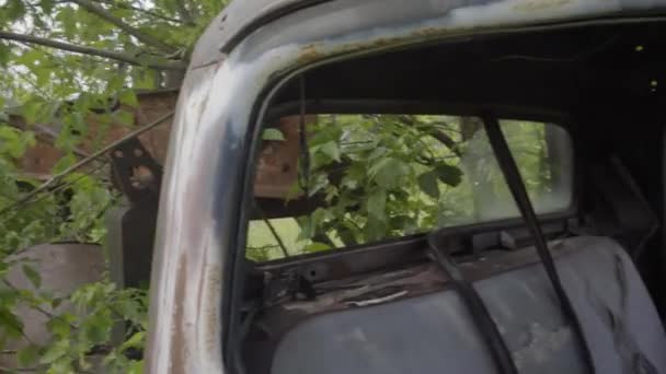 Carro Velho Vintage Com Planta Enferrujado Americano Pickup Van — Vídeo de Stock