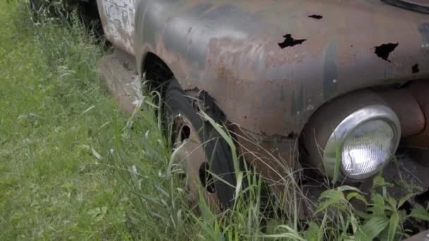 Carro Velho Vintage Com Planta Enferrujado Americano Pickup Van — Vídeo de Stock
