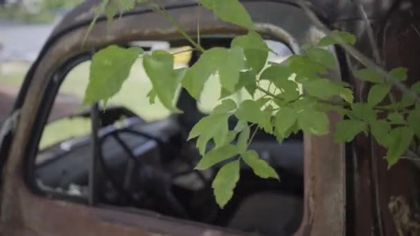 Oude Auto Retro Met Plant Roestige Amerikaanse Pick Van — Stockvideo