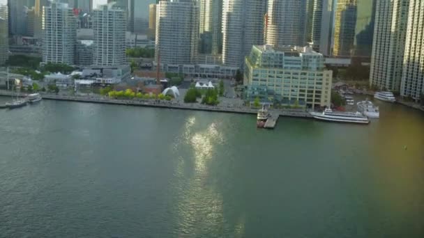 Літом Пролітає Над Торонтом Влітку Над Канадою — стокове відео