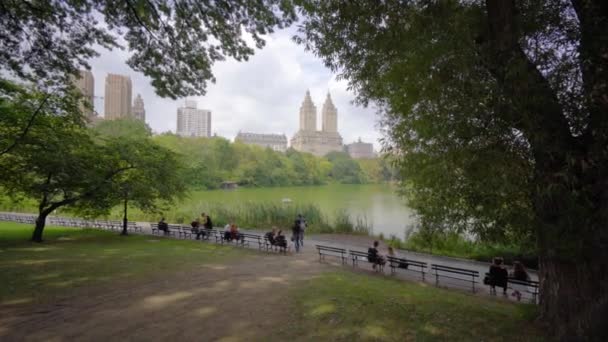 Video Shot Central Park New York City Summer — Stock Video