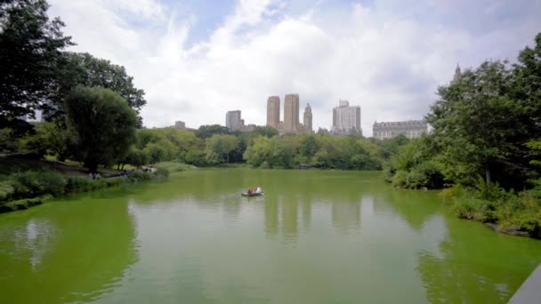 Video Girato Central Park New York Durante Estate — Video Stock