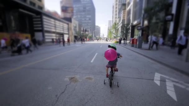 Torontostraßen Sommer 2016 Für Den Verkehr Gesperrt — Stockvideo