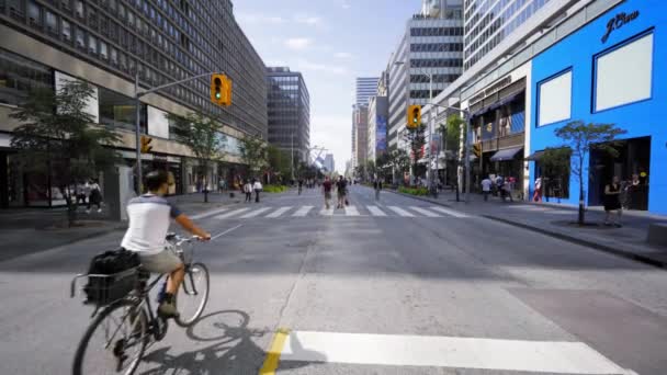 2016 Yazında Trafik Nedeniyle Toronto Caddeleri Kapalı — Stok video