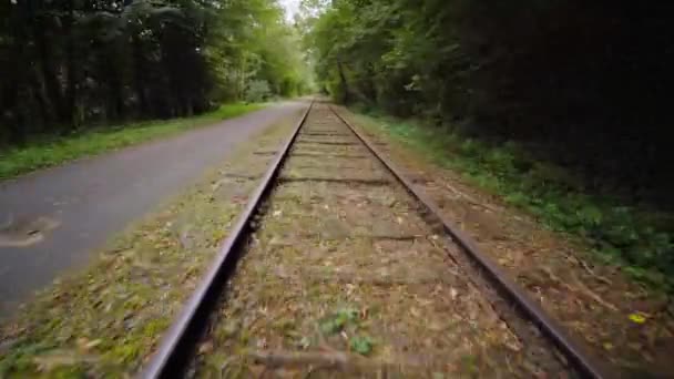 Ligne Chemin Fer Traversant Forêt Sur Fond Nature — Video
