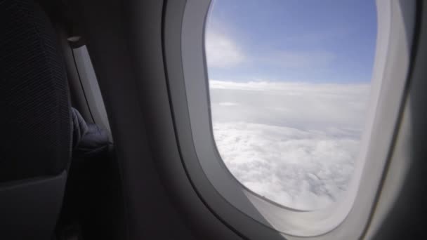 Repülőgép Szárnyának Látképe Repülőről — Stock videók