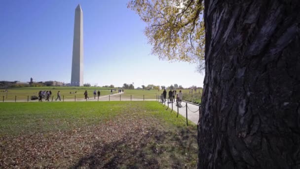 Washington Washington Monumento Segundo Plano — Vídeo de Stock