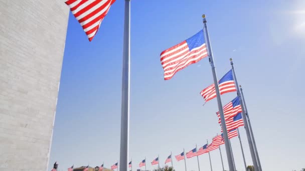 Video Filmado Washington Banderas Americanas Alrededor Del Obelisco — Vídeo de stock