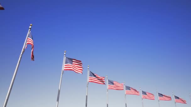 Відеозапис Вашингтоні Округ Колумбія Американські Прапори Навколо Обеліска — стокове відео