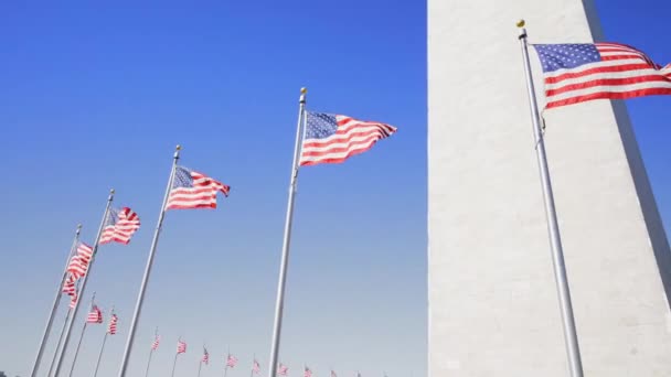 ワシントンDcのアメリカ国旗で撮影されたビデオです — ストック動画