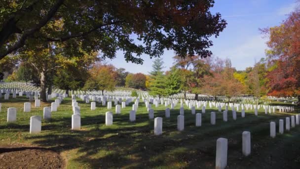 阿灵顿公墓在秋天的自然背景下 — 图库视频影像