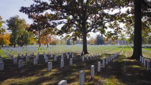 アーリントン墓地は自然を背景に — ストック動画