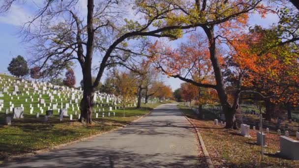 Arlington Friedhof Während Des Falles Auf Natur Hintergrund — Stockvideo