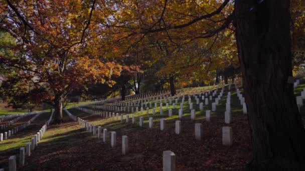 Arlington Νεκροταφείο Κατά Διάρκεια Της Πτώσης Στο Φόντο Της Φύσης — Αρχείο Βίντεο