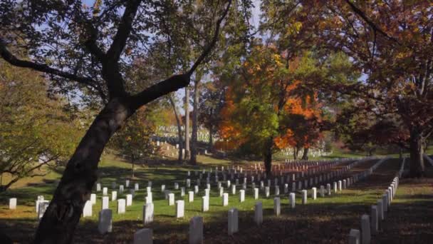 Arlingtonský Hřbitov Během Podzimu Přírodním Pozadí — Stock video