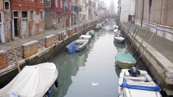 Kaunis Näkymä Venetsiaan Semakasi Talvella — kuvapankkivideo