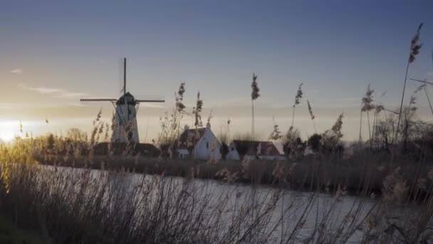 Flandern Belgien Landschaft Auf Naturhintergrund — Stockvideo