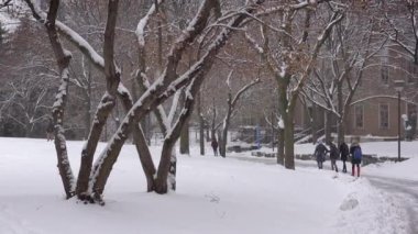 back view of people walking in the winter park in the city