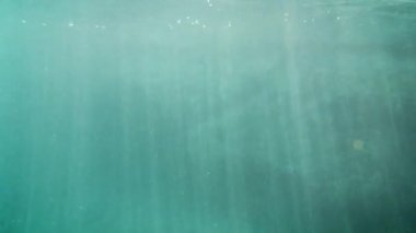 Okyanus tabanındaki dalgalı kum sualtı manzarası