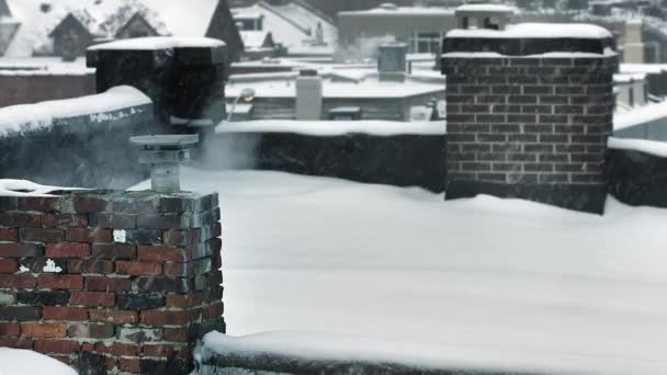 Esplosione Neve Una Tempesta Invernale Nel Centro Toronto — Video Stock