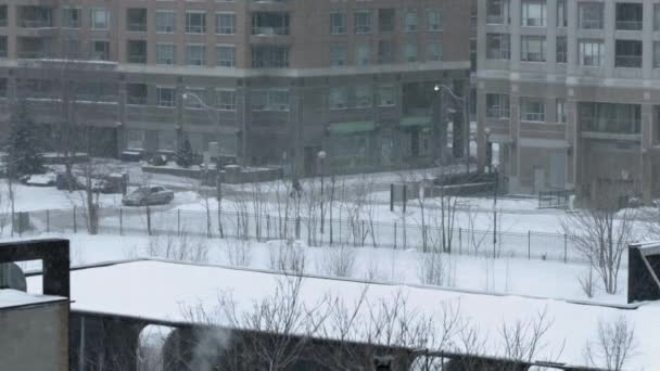Schneeballschlacht Bei Wintersturm Der Innenstadt — Stockvideo