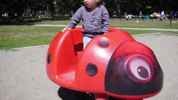 Mały Chłopiec Bawiący Się Latem Parku — Wideo stockowe